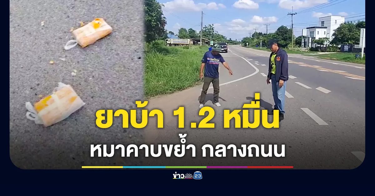 หมาแทะห่อยาบ้า 1.2 หมื่นเม็ดกลางถนน ตร.เร่งล่าตัวนักบิน