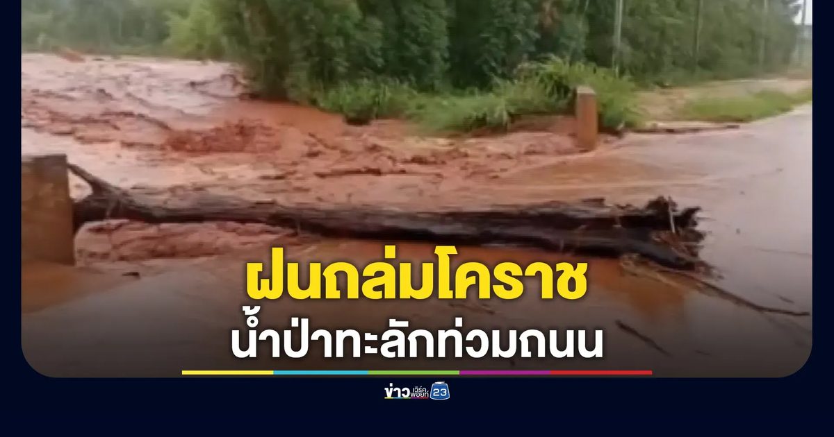 ฝนถล่มโคราช! น้ำป่าทะลักท่วมถนนสายชุมพวง