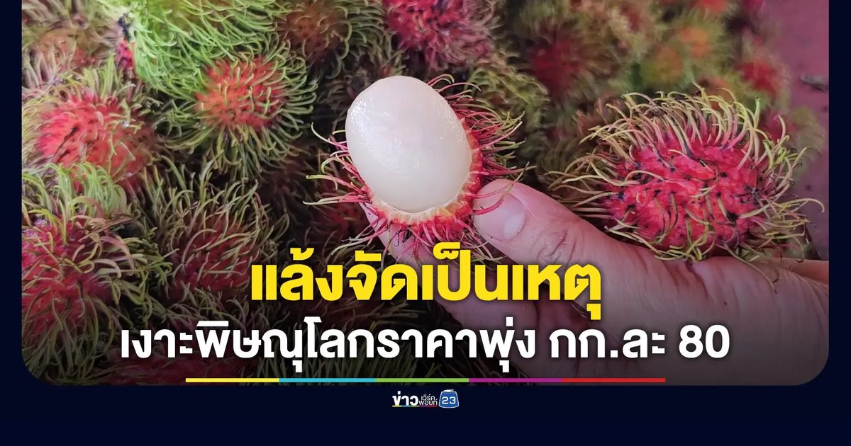 อากาศแล้งจัด ทำราคาเงาะพิษณุโลกพุ่ง กก.ละ 80 บาท