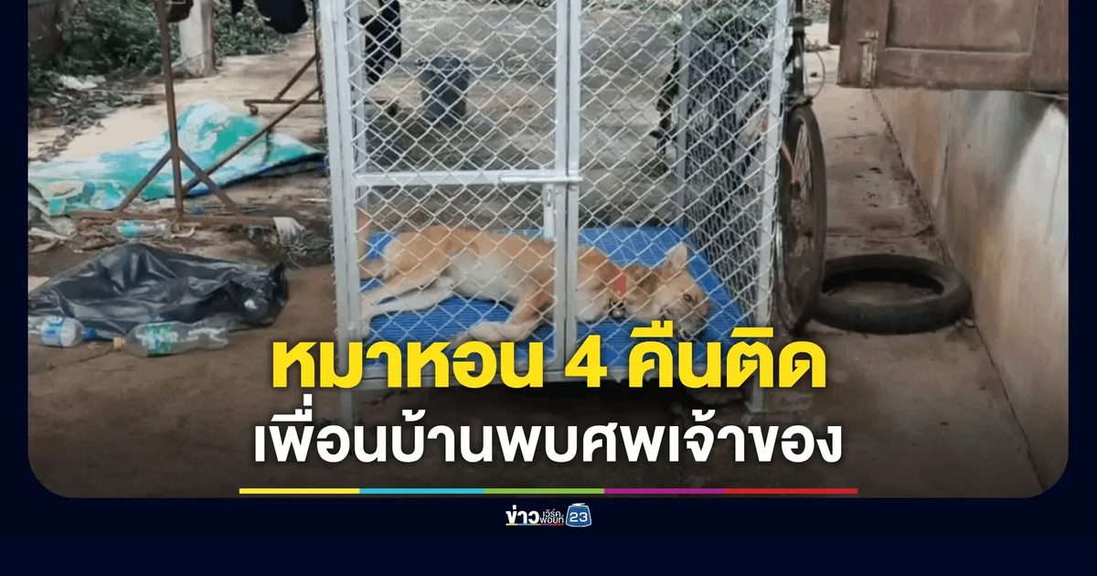 สลด! สุนัขร้องโหยหวน 4 คืนติด เพื่อนบ้านเอะใจดูพบเจ้าของนอนตายเน่าคาบ้าน