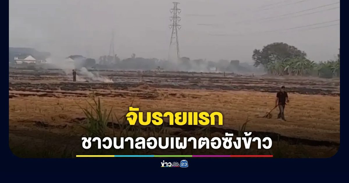 รายแรก! ตร.พิษณุโลก จับชาวนาลอบเผาตอซังข้าว