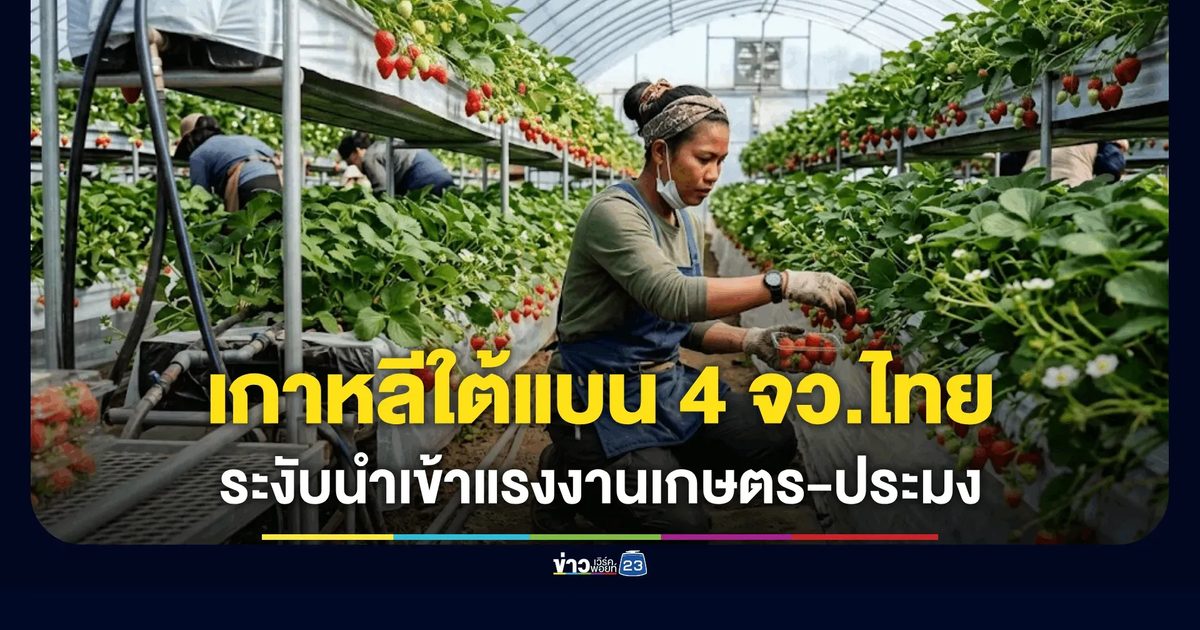 เกาหลีใต้แบน 4 จังหวัดไทย! ระงับนำเข้าแรงงานเกษตร-ประมง (วีซ่า E-8) ตลอดปี 2569