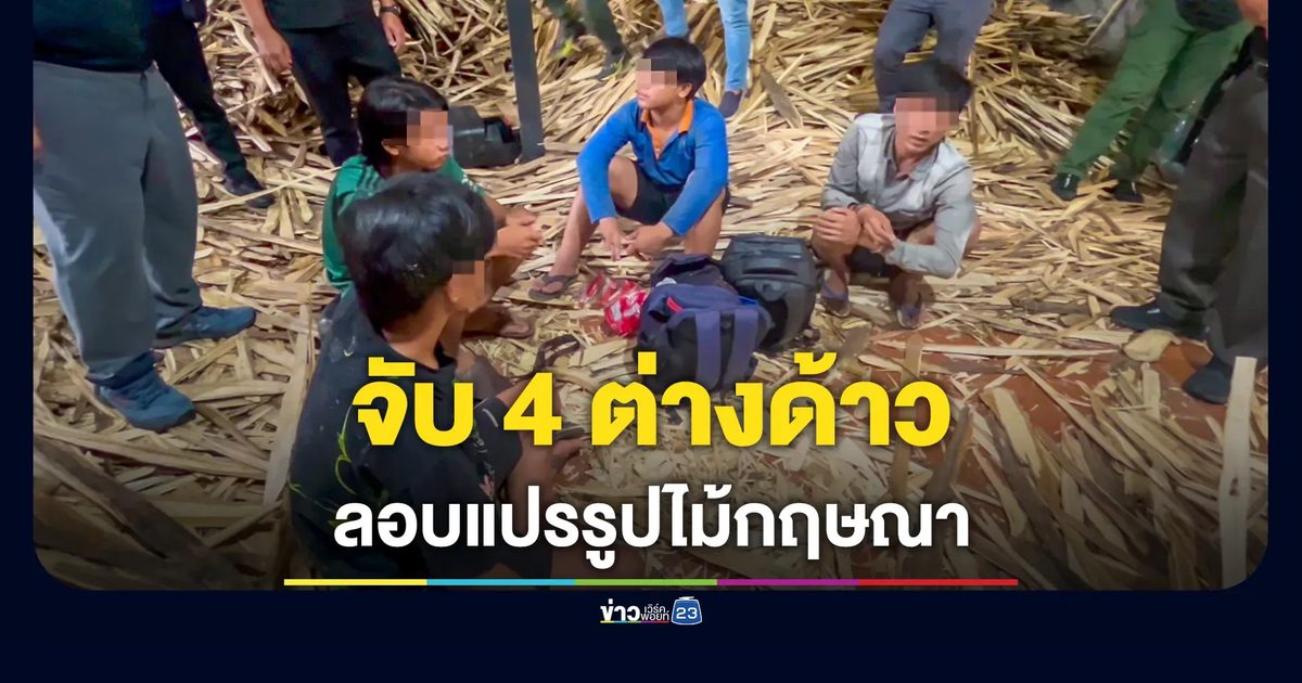 บุกจับคาห้องเช่า 4 ลาว-เวียดนาม ลอบแปรรูปไม้กฤษณา เผยรับจ้างวันละ 400 บาท