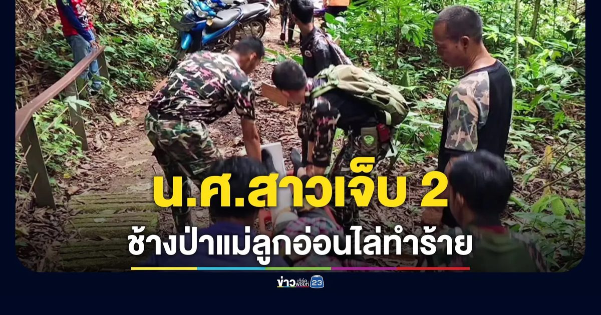ช้างป่าแม่ลูกอ่อน ทำร้ายนักศึกษาสาว บาดเจ็บ 2 ราย