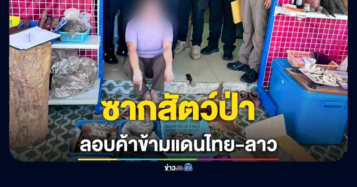 ปทส.รวบแม่ค้าลักลอบขายซากสัตว์ป่าข้ามแดนไทย-ลาว