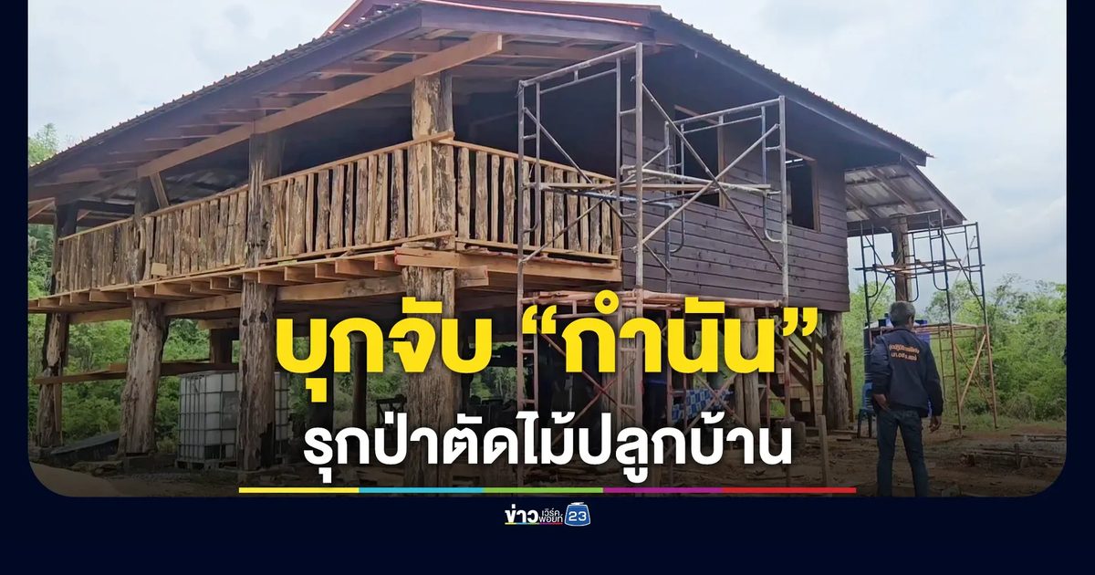 จับกำนัน ตัดไม้ปลูกบ้านกลางป่าสงวนฯ เมืองแพร่ เสียหายกว่า 30 ไร่