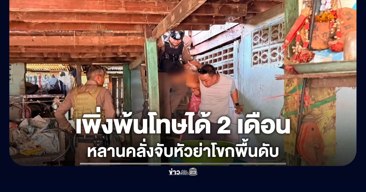 เพิ่งพ้นโทษได้ 2 เดือน หลานคลั่งจับหัวย่าโขกพื้นดับ