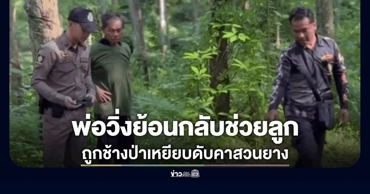 สลด! พ่อวัย 62 หนีไม่ทัน ถูกช้างป่าเหยียบดับคาสวนยาง ขณะเก็บขี้ยางกับลูก
