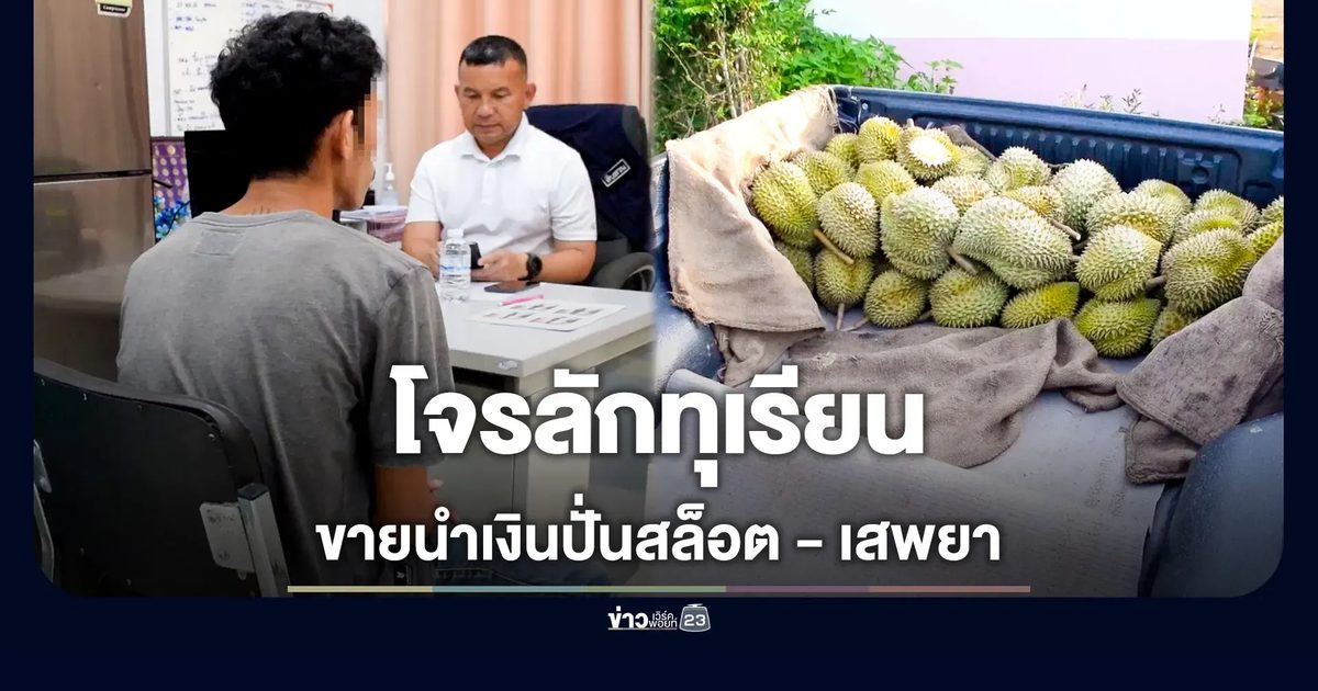 โจรขับกระบะตระเวนลักทุเรียน มอบตัว 1 เหลือ 1 สารภาพขายนำเงินปั่นสล็อต-เสพยา