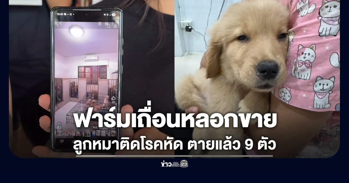 คนรักหมาร้องเจอฟาร์มเถื่อนหลอกขายลูกหมาติดโรคหัด ตายแล้ว 9