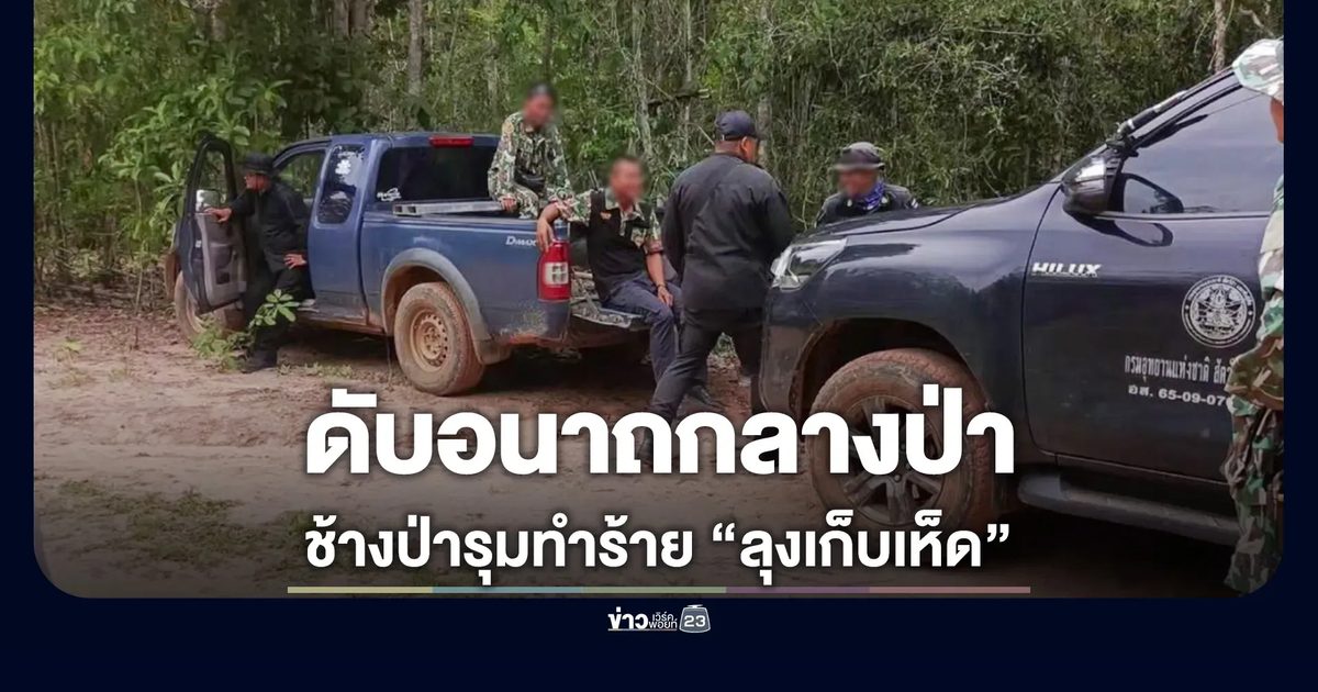 ชายวัย 58 ดับกลางป่า คาดถูกช้างป่าทำร้ายขณะเก็บเห็ด