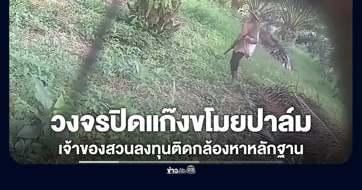 สุดทนโจรชุม! เจ้าของสวนปาล์มติดวงจรปิดมัดตัวแก๊งขโมยปาล์ม