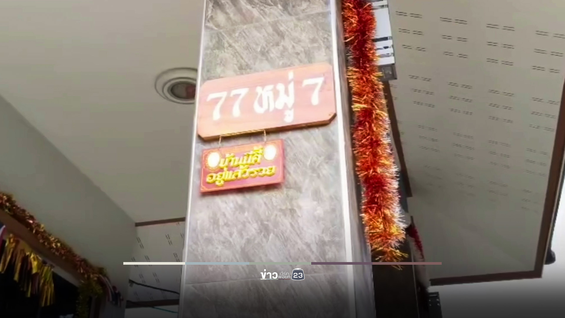 ฮือฮา! กบน้อย 7 ขา แห่ตีเลขเด็ด