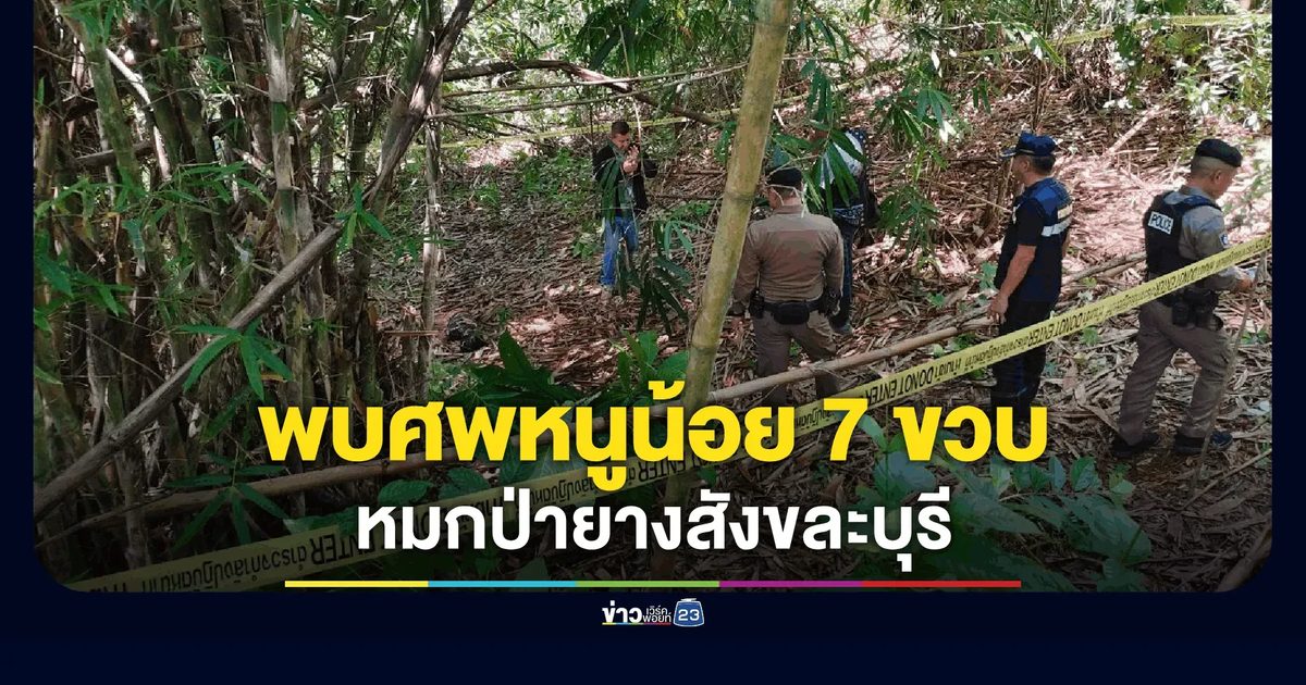 พบศพเด็กหญิง 7 ขวบหายตัวปริศนา กลายเป็นศพหมกป่าพบบาดแผลถูกทำร้าย