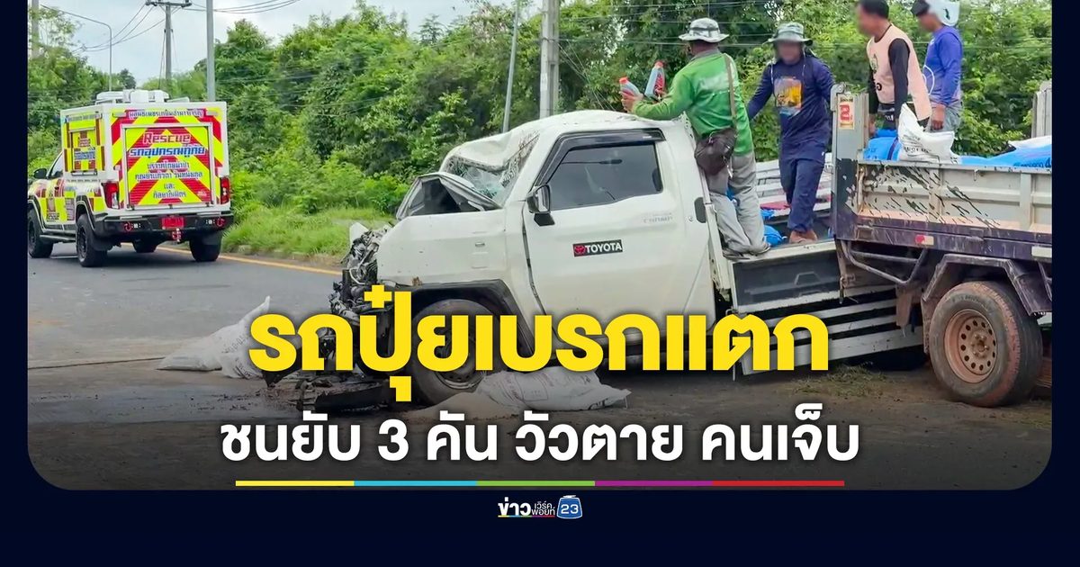 รถขนปุ๋ยยางแตก ชนยับ 3 คัน วัวตาย 2 ตัว คนเจ็บ 5
