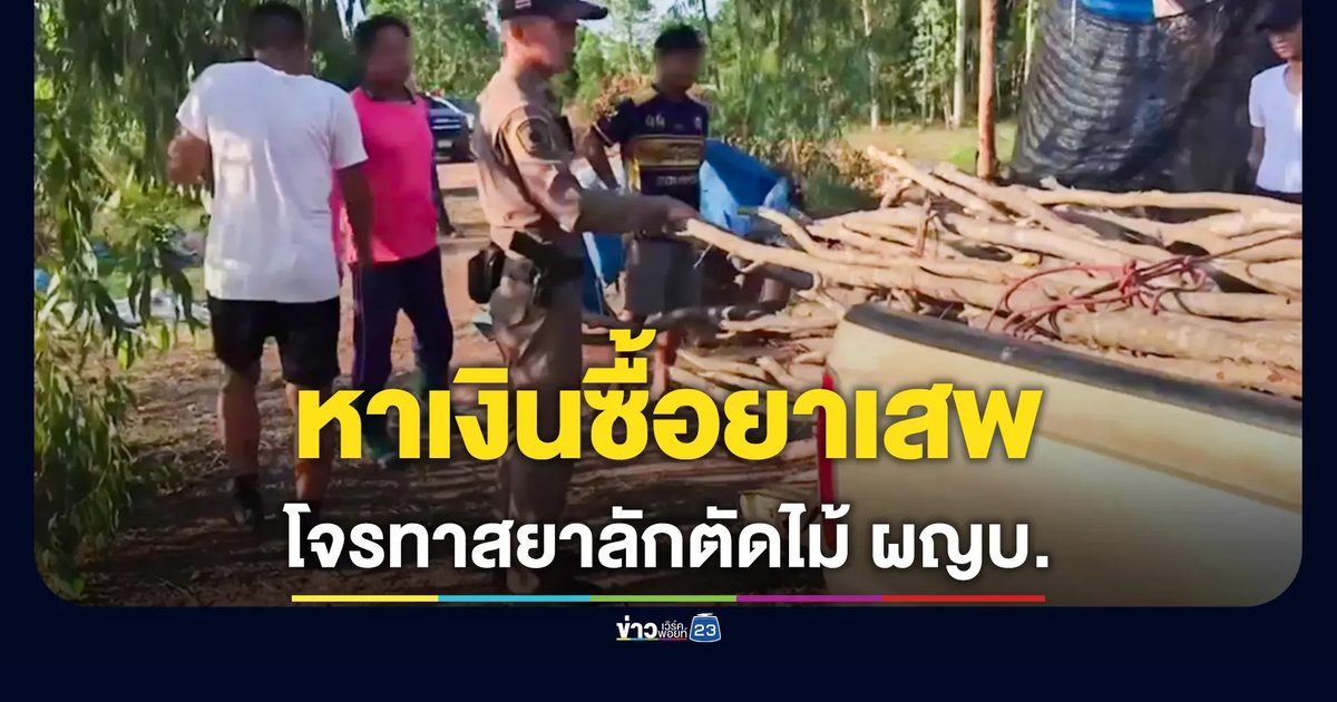 "รวบคากระบะ! โจรทาสยา ลักตัดไม้ผู้ใหญ่บ้าน เผยขโมยทุกอย่างหาเงินซื้อยาบ้า