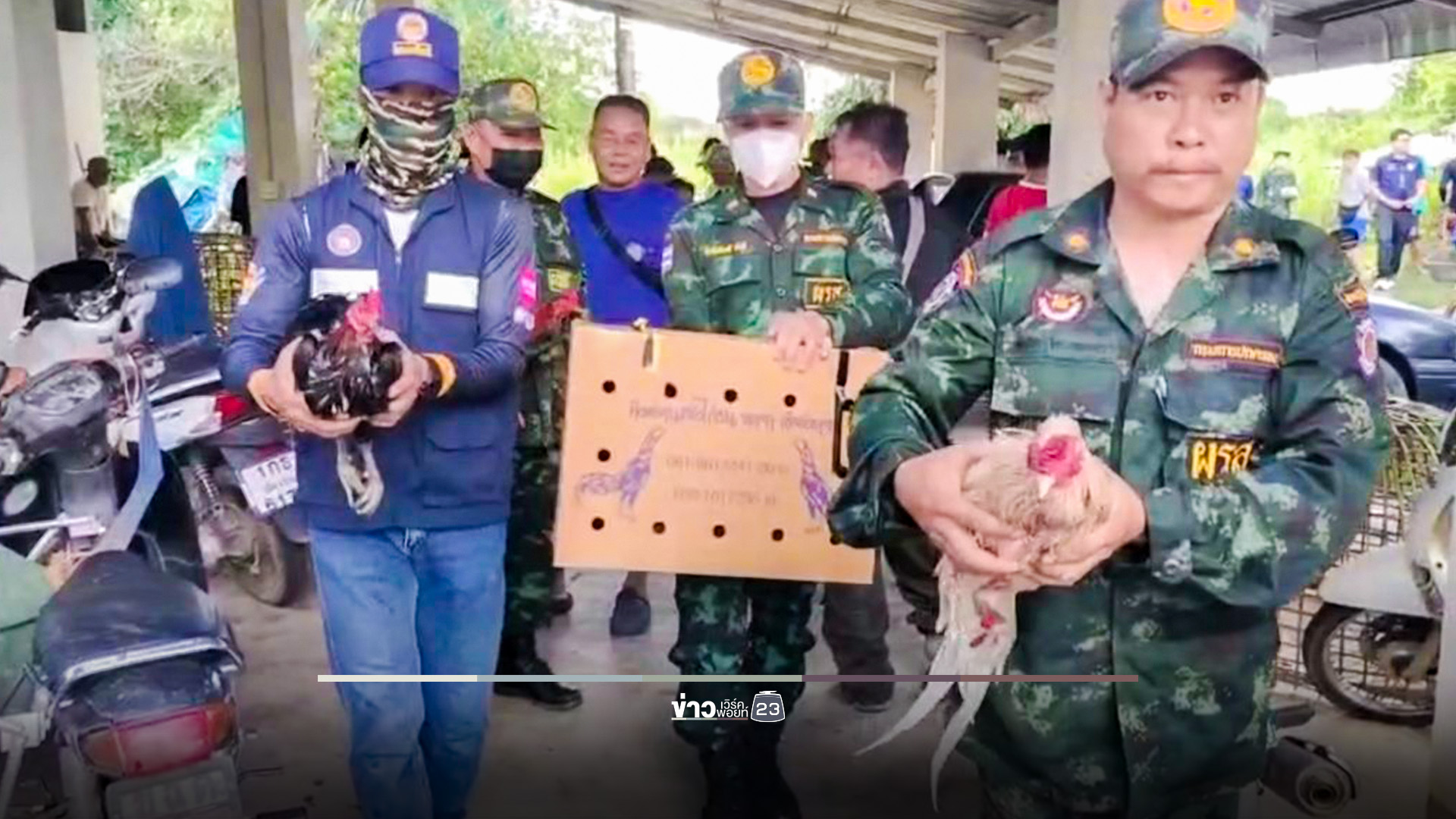 ปค.-ตร.แม่จัน บุกทลายบ่อนไก่ชนเถื่อน รวบ 40 นักพนัน