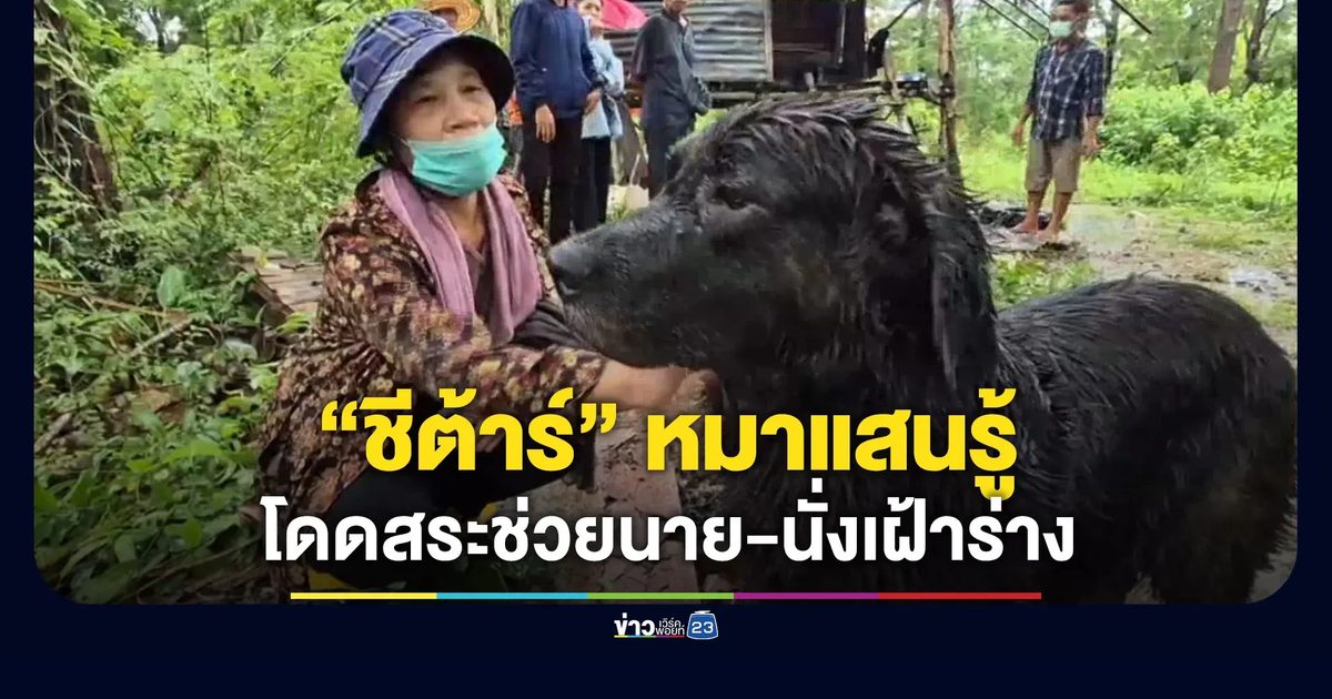 “ชีต้าร์” หมาแสนรู้ ช่วยนายจมน้ำ-นั่งเฝ้าร่างไม่ห่าง