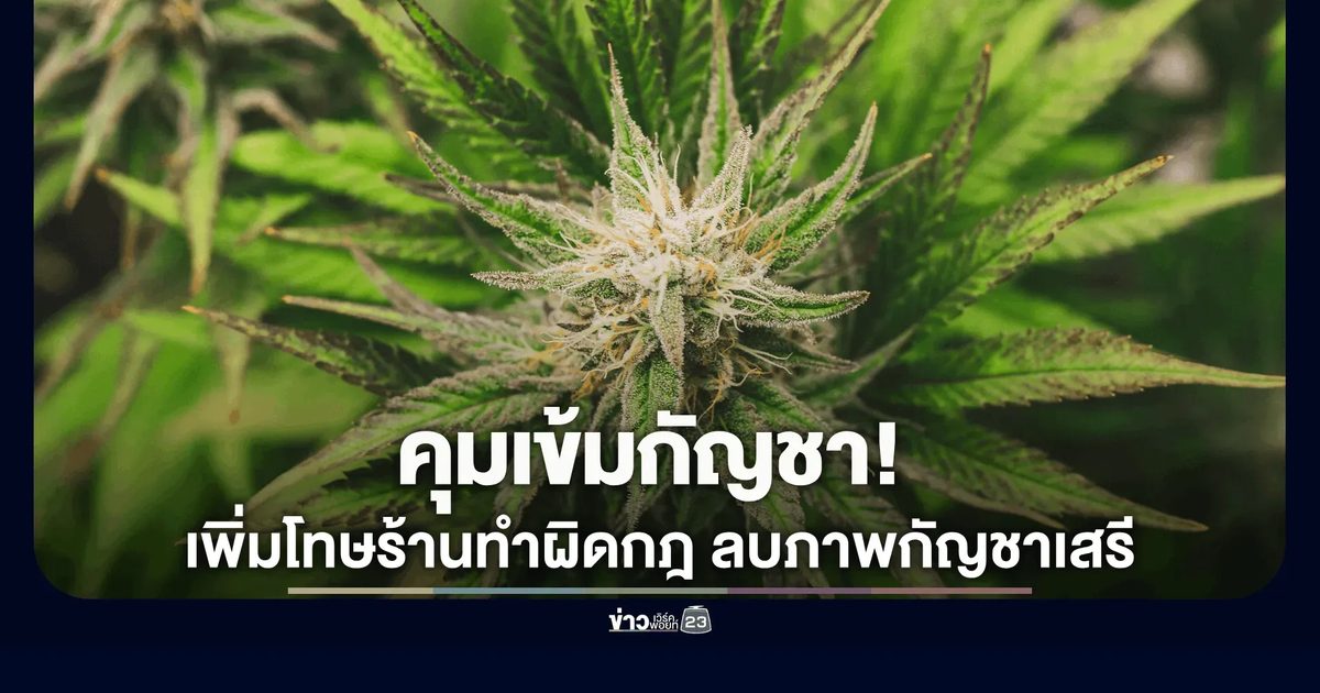 แพทย์แผนไทยฯ ออกเกณฑ์ใหม่! เพิ่มโทษพักใบอนุญาตร้านกัญชา 30-90 วัน ผิดซ้ำยึดคืน