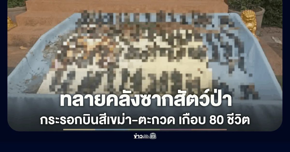 บุกทลายคลังซากสัตว์ป่า! สบอ.9 ลุยตลาดมุกดาหาร ยึดเกือบ 80 ชีวิต