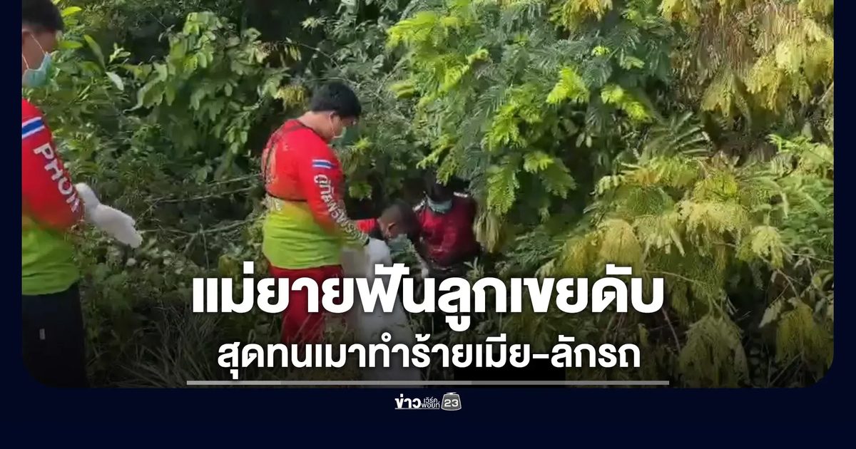แม่ยายฟันลูกเคยดับ สุดทนเมาทำร้ายเมีย-ลักรถ
