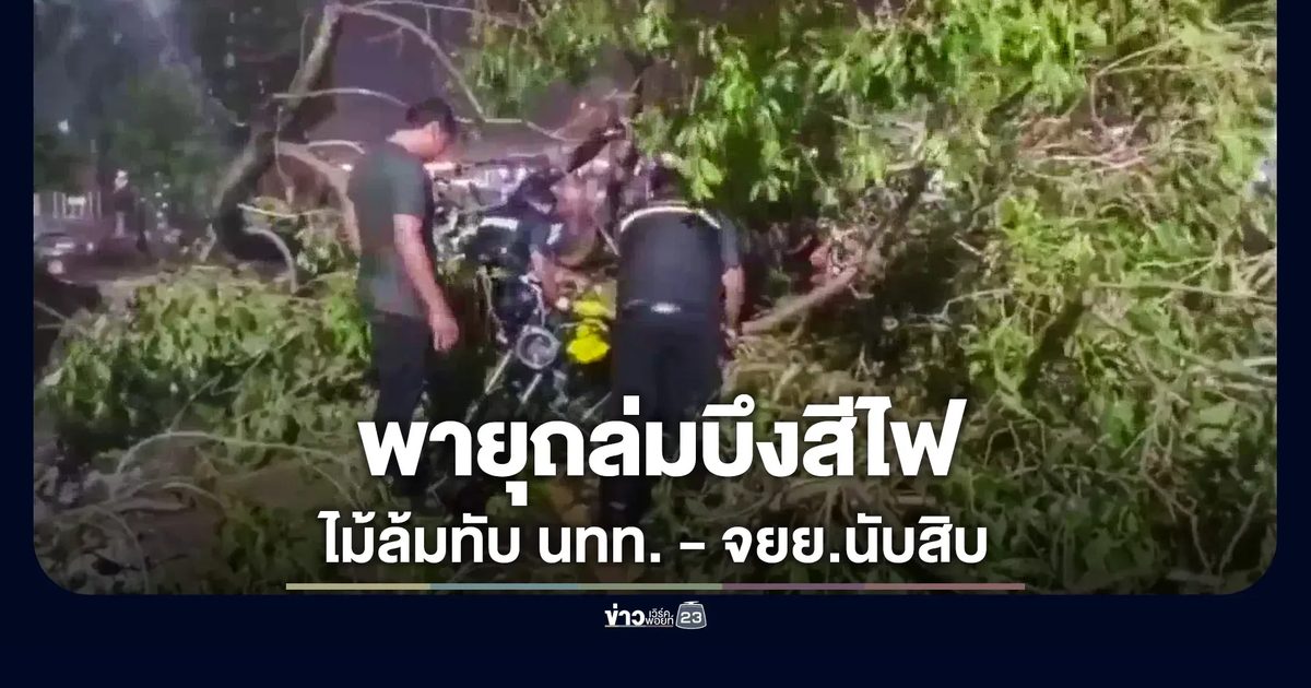 พายุถล่มต้นไม้ใหญ่โค่นทับ จยย.นักท่องเที่ยวบึงสีไฟนับสิบคัน บาดเจ็บ 3