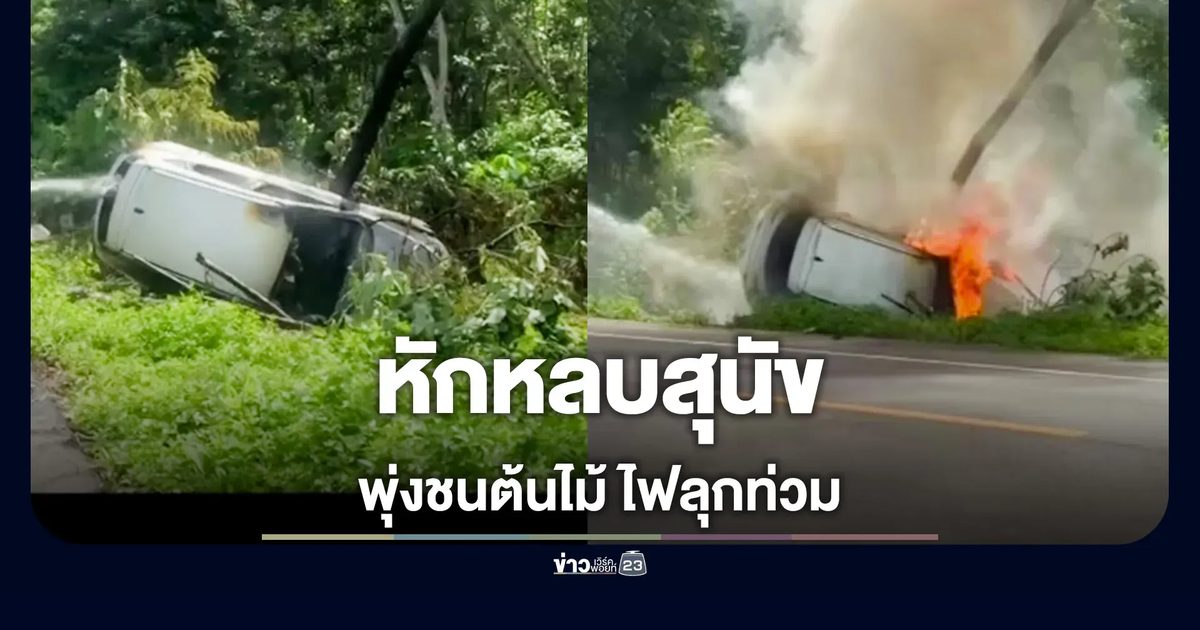SUV หักหลบสุนัข เสียหลักพุ่งชนต้นไม้ข้างทาง ไฟลุกท่วมคัน
