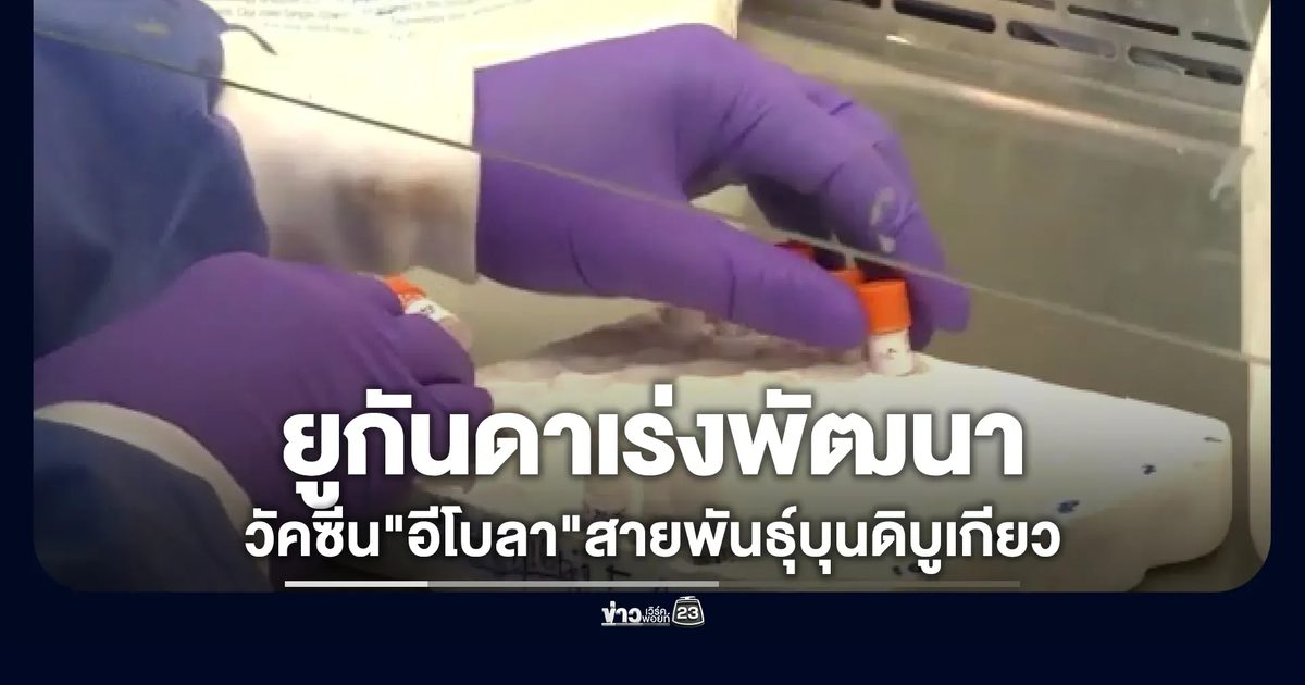 ยูกันดาเร่งพัฒนาวัคซีน"อีโบลา"สายพันธุ์บุนดิบูเกียว