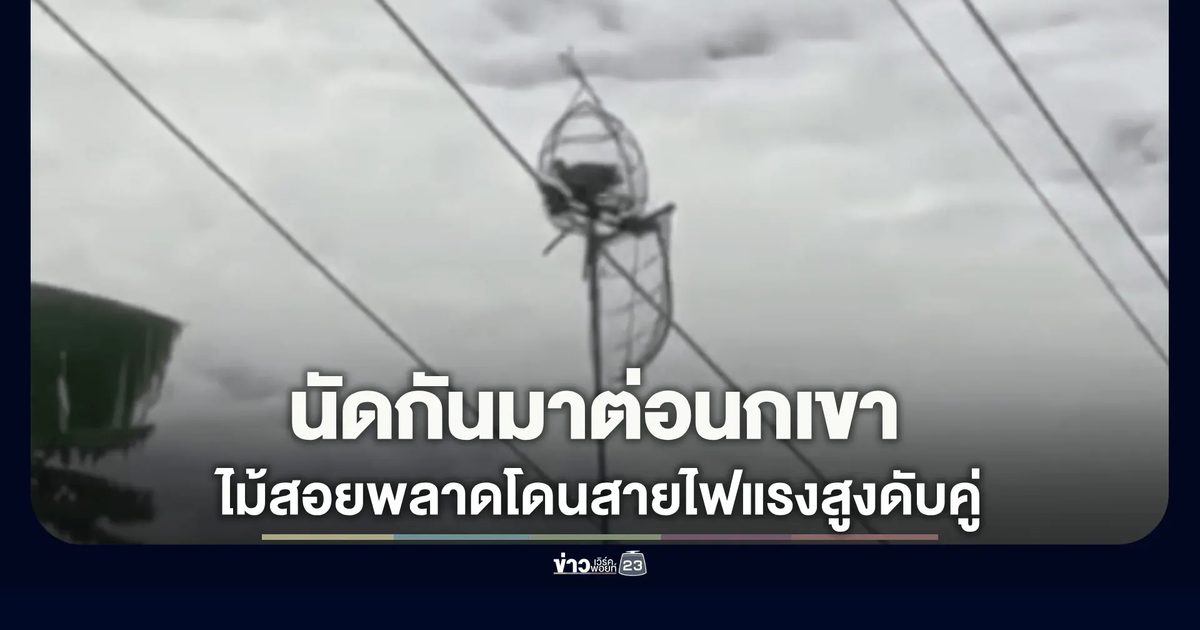 ดับคู่คาที่! ไม้ต่อนกเขาแตะสายไฟ 22,000 โวลต์ ช็อกหนุ่มดับ อีกคนวิ่งช่วยไม่รอด