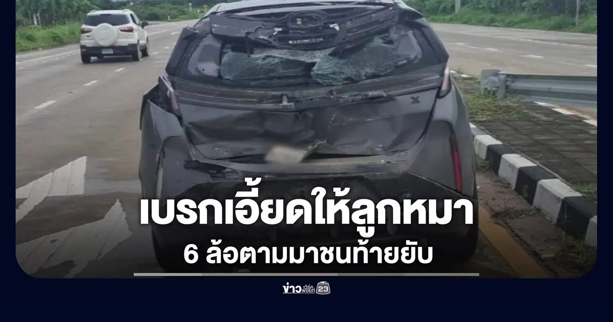 รถไฟฟ้าเบรกเอี้ยดกลัวชนลูกหมา รถ 6 ล้อตามมาชนท้ายยับ