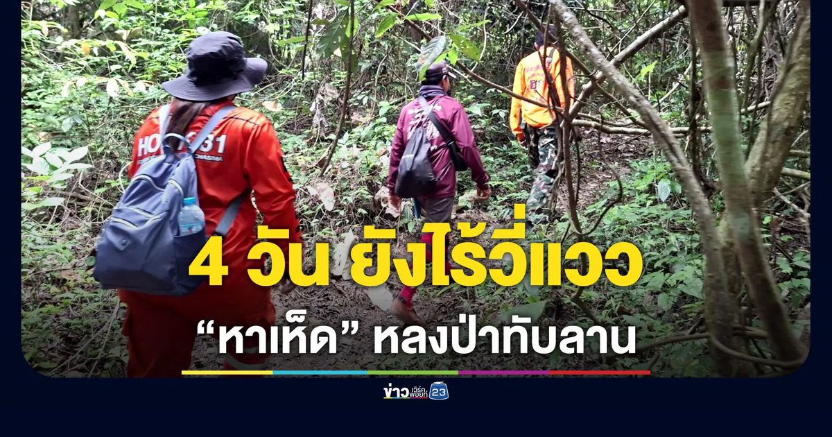 ชายวัย 45 หาเห็ดหลงป่าทับลาน 4 วันไร้วี่แวว หวั่นโดนสัตว์ป่าทำร้าย