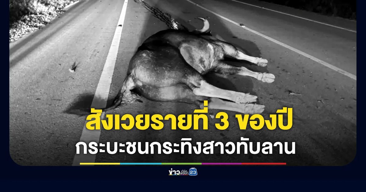กระบะชน "กระทิงสาวทับลาน" ตายคาที่