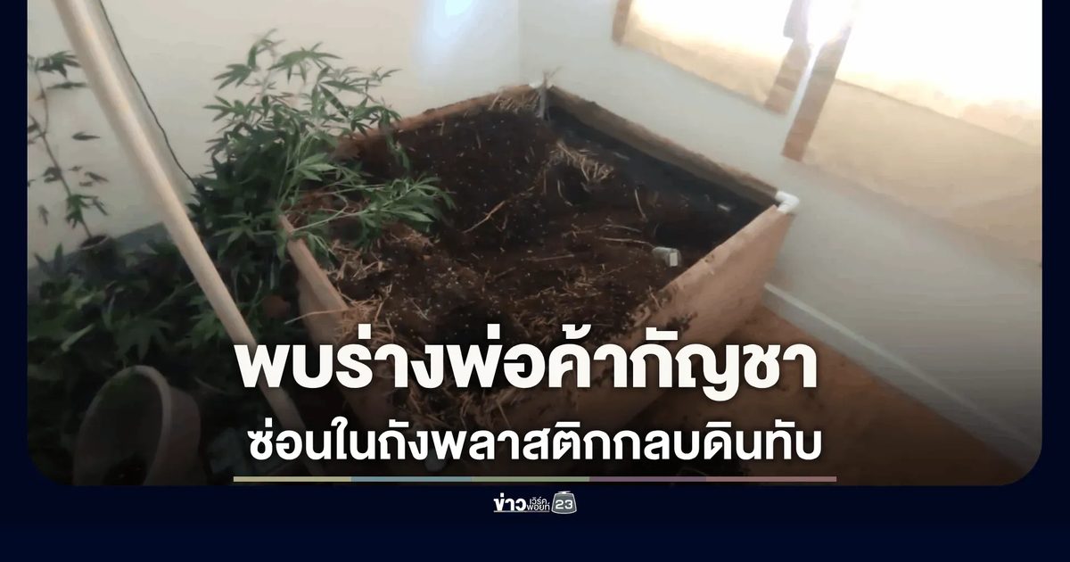 พบศพพ่อค้ากัญชาถูกแทงอก ซ่อนในถังพลาสติกกลบดินทับ
