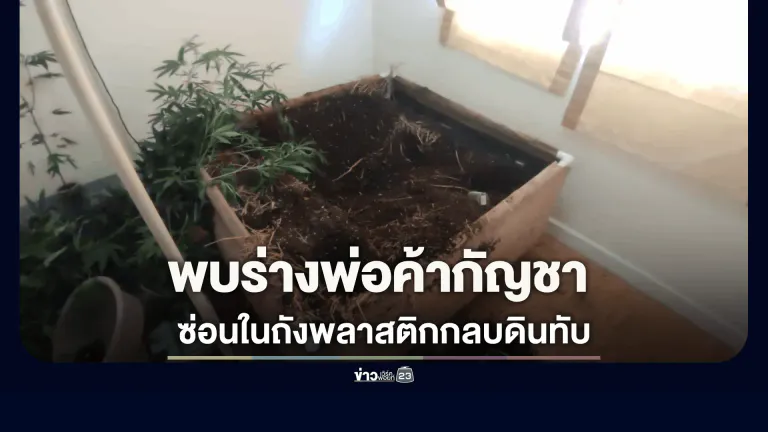 พบศพพ่อค้ากัญชาถูกแทงอก ซ่อนในถังพลาสติกกลบดินทับ