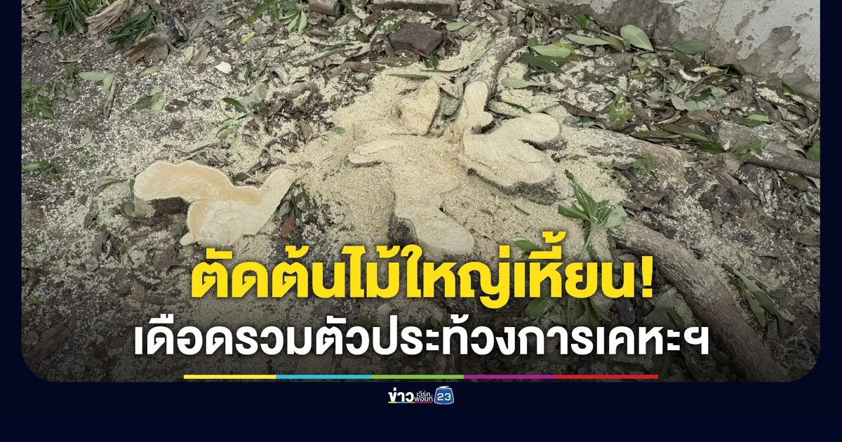 ลูกบ้านประท้วงการเคหะฯ ตัดต้นไม้ใหญ่เหี้ยน แถมบริหารผิดพลาด