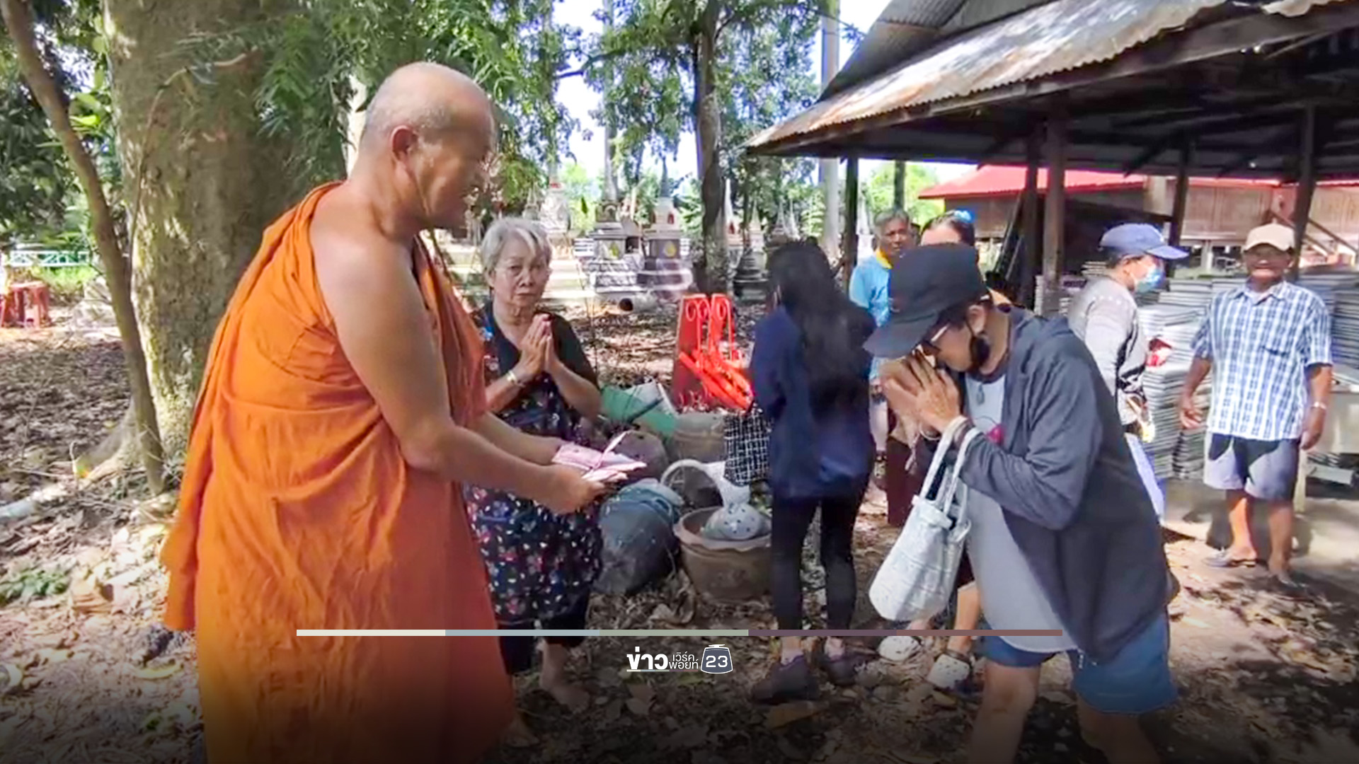 ควายเผือกท้องหนีตาย เจ้าอาวาสไถ่ชีวิต