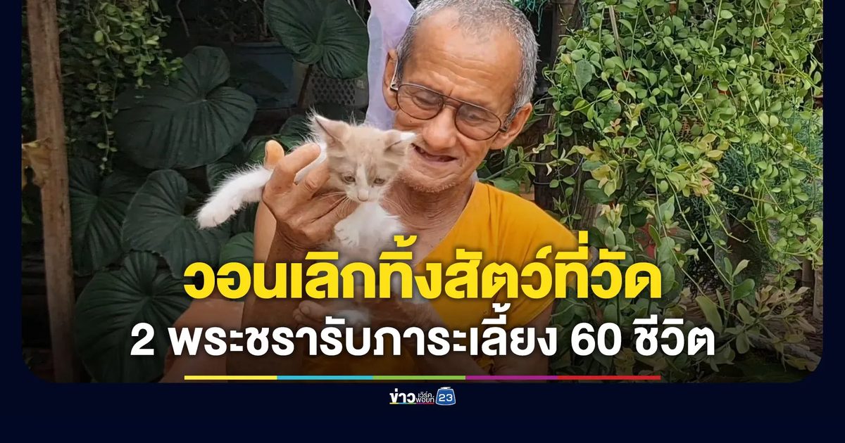 วอนเลิกเอาสัตว์ท้องมาทิ้งวัด 2 พระชราหาเลี้ยง 60 กว่าชีวิต
