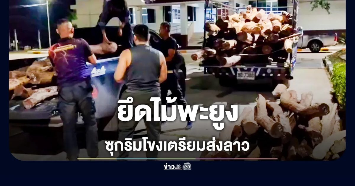 ยึดไม้พะยูง 206 ท่อน ซุกรถหกล้อจอดเพิงพักริมโขง