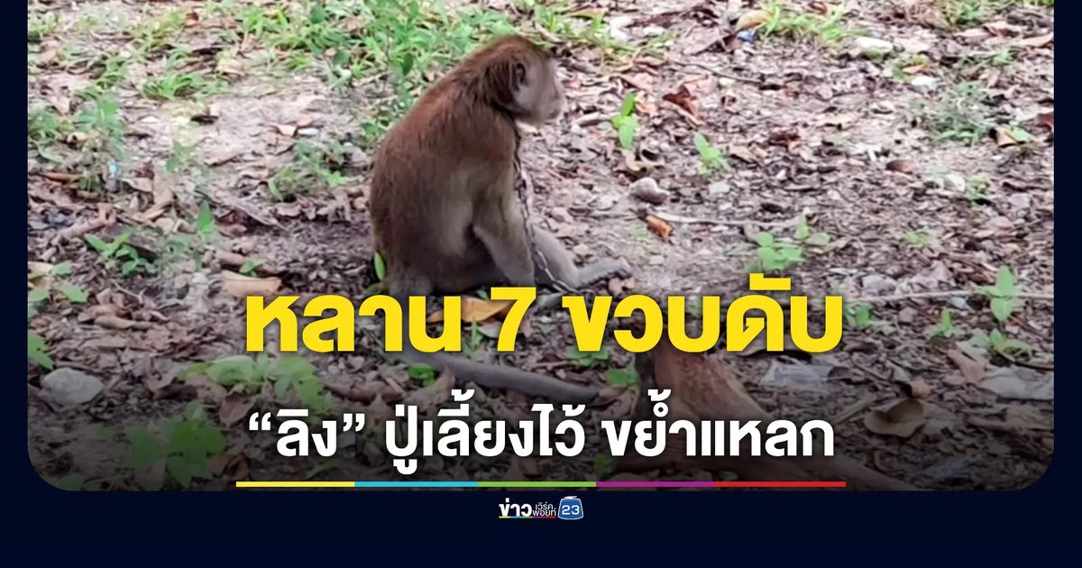 ปู่เลี้ยงลิง หลาน 7 ขวบโดนขย้ำดับสลด