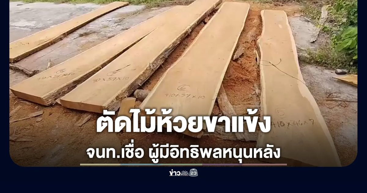 บุกยึดไม้เถื่อนห้วยขาแข้ง คาดกลุ่มอิทธิพลหนุนหลัง