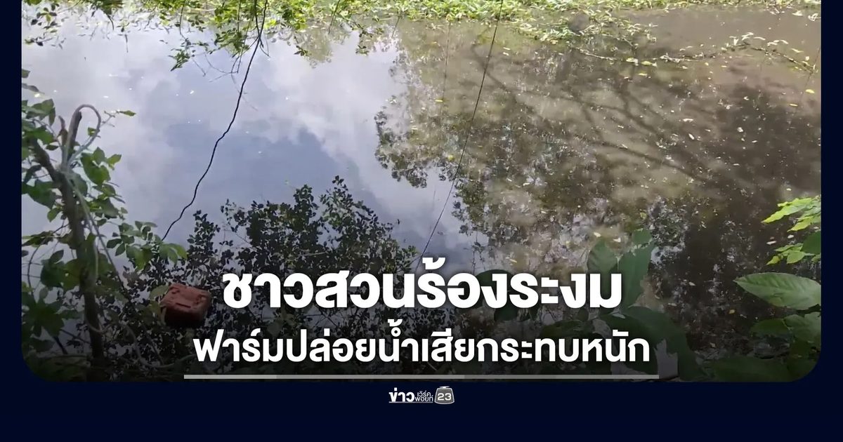 ชาวสวนร้องฟาร์มใกล้เคียงปล่อยน้ำเสียกระทบหนัก