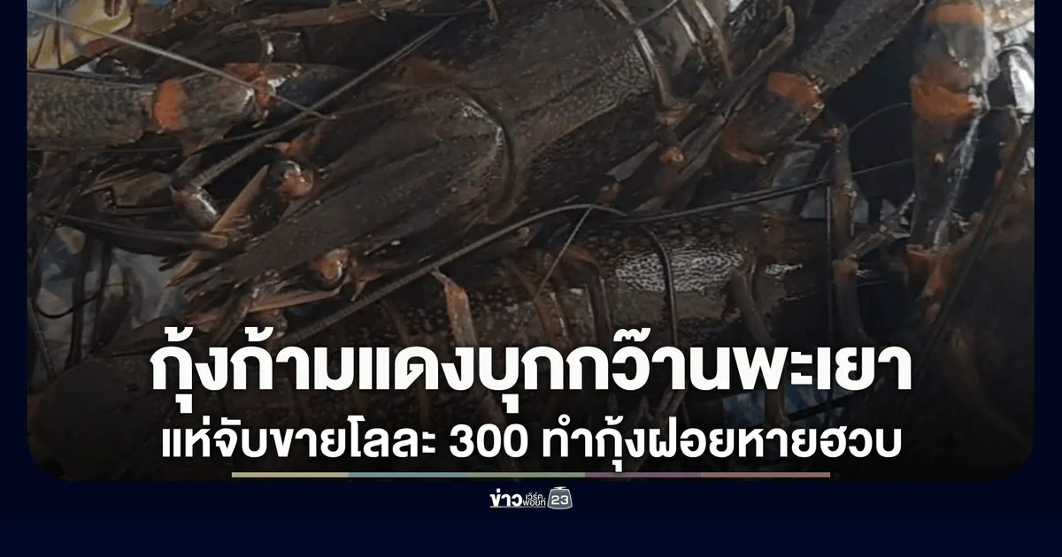 กว๊านพะเยา! "กุ้งก้ามแดง" เอเลี่ยนสปีชีส์ระบาดหนัก