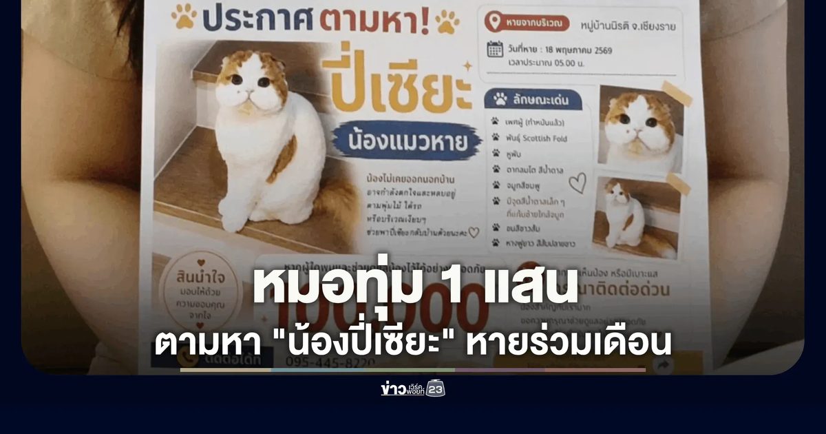 ทุ่ม 1 แสนตามหาลูก! คุณหมอใจสลาย "น้องปี่เซียะ" แมวพันธุ์นอกหายร่วมเดือน