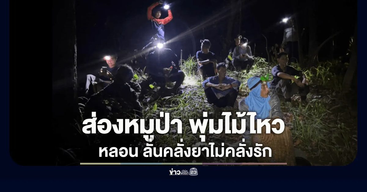 พรานขึ้นห้างซุ่มยิงหมูป่า พุ่มไม้ไหวลั่นลูกซองเปรี้ยง เจาะหน้าเพื่อนบ้านดับคาร่องหญ้า