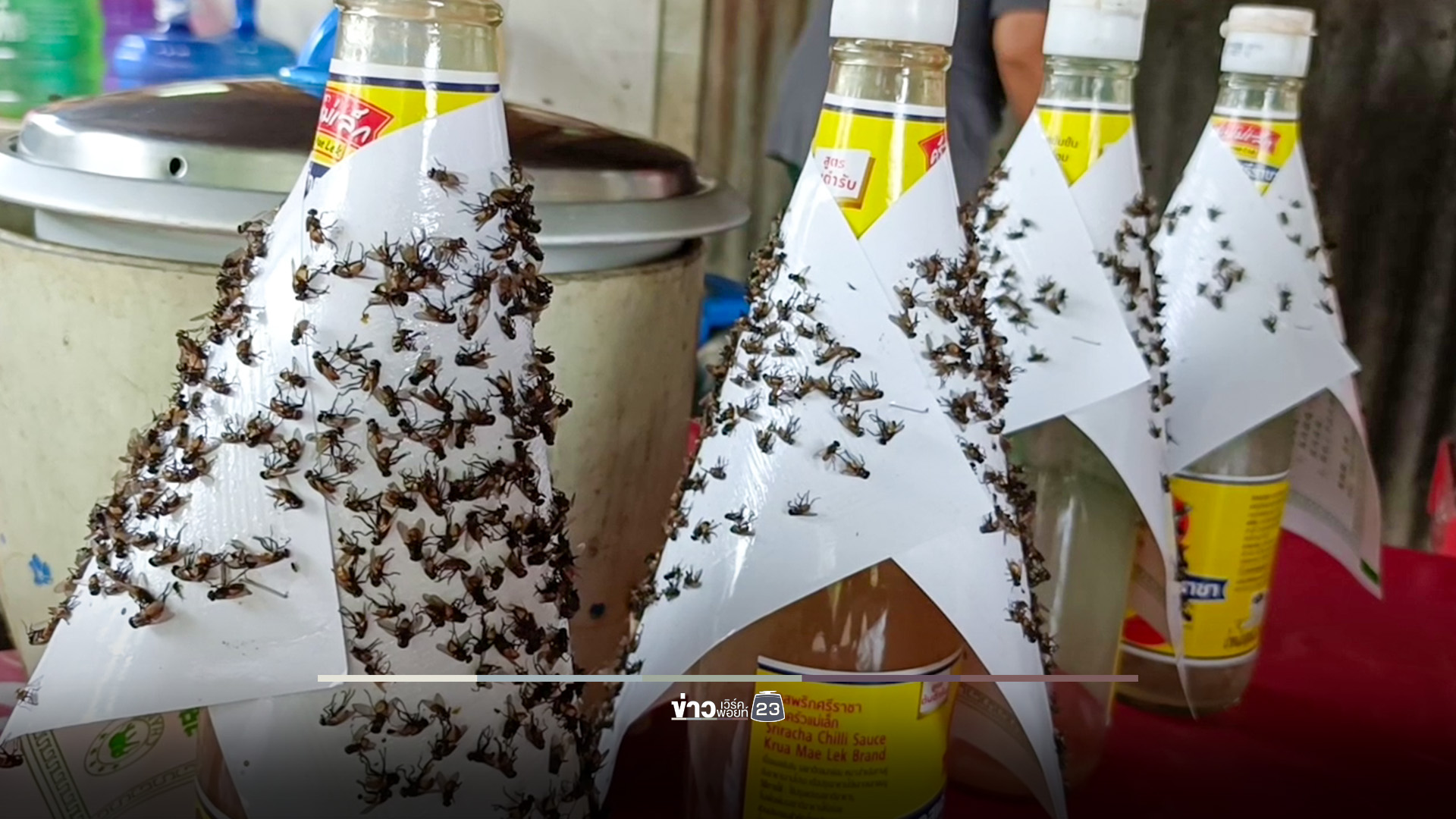 ฝูงแมลงวันบุกหมู่บ้าน ร้องเรียนฟาร์มไก่ได้แค่กระดาษกาวดัก