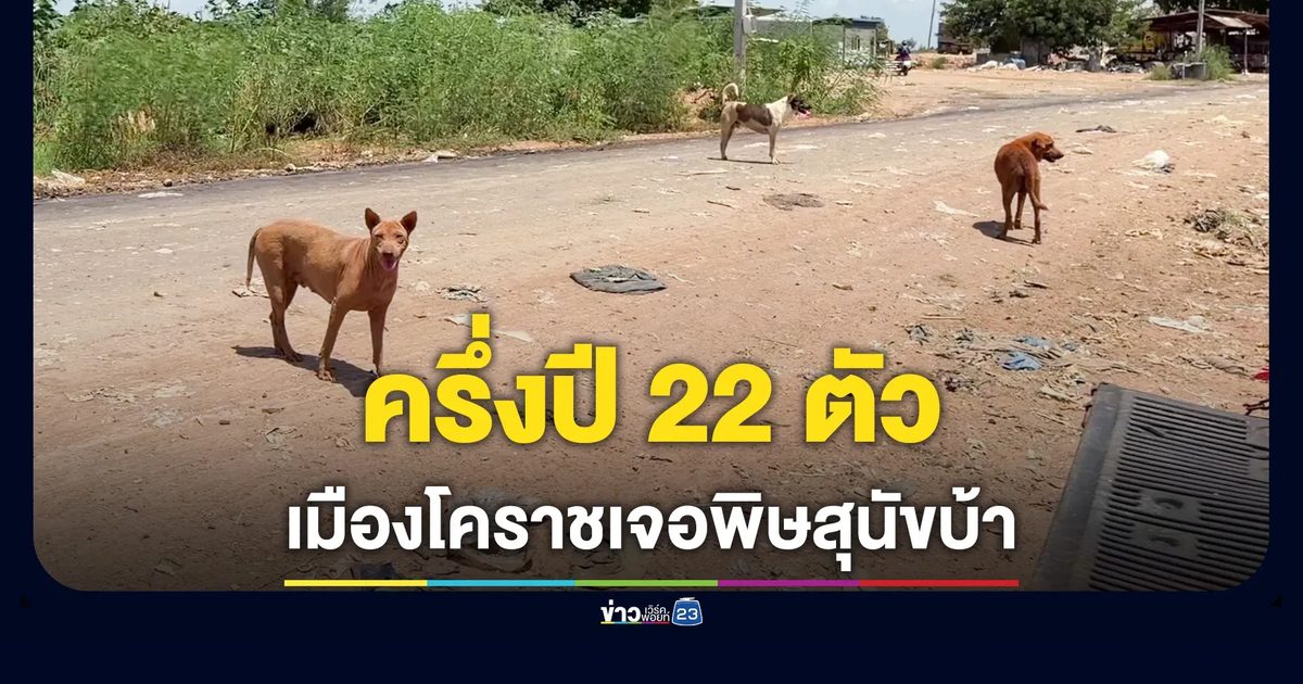 เมืองโคราชเผชิญ "พิษสุนัขบ้า" ครึ่งปีสัตว์ติดเชื้อ 22 ตัว มีผู้เสียชีวิต 1 ราย