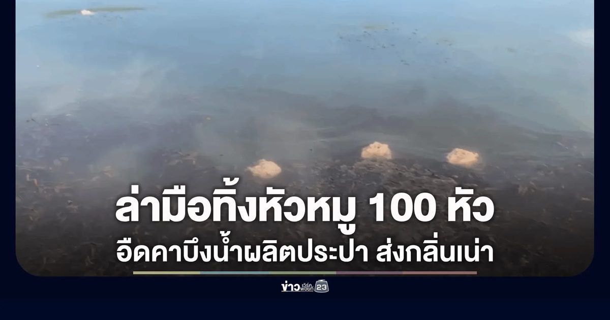 มักง่ายเกินไป? มือดีโยนหัวหมูเน่านับร้อยทิ้งบึงน้ำผลิตประปา