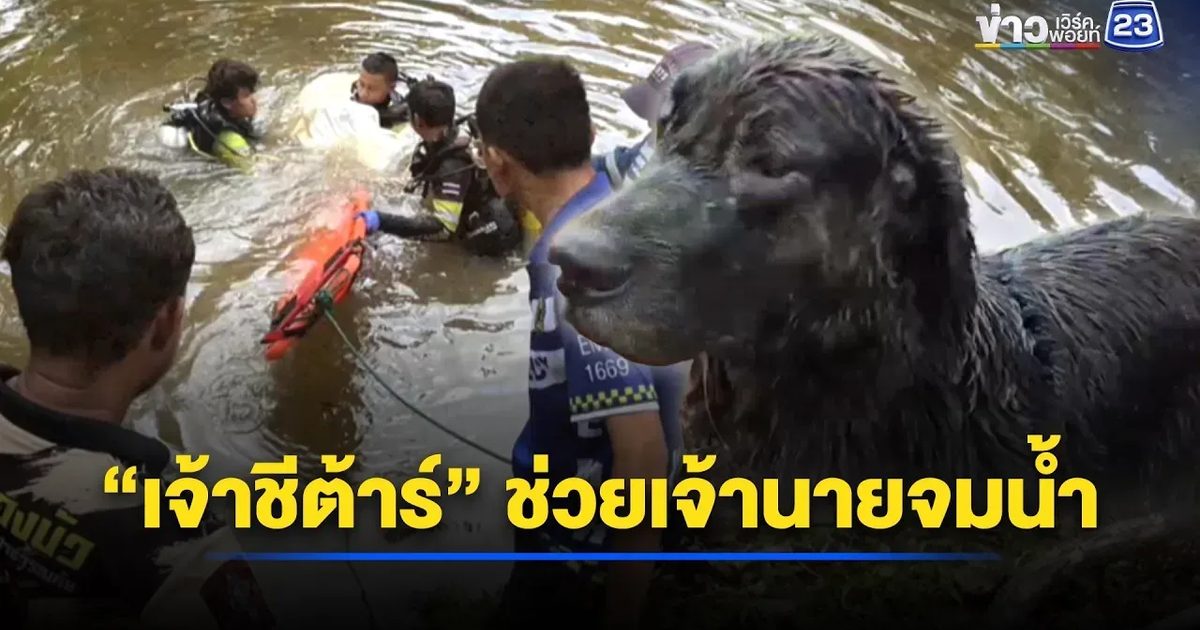 สลด! “เจ้าชีต้าร์” ช่วยเจ้านายจมน้ำ