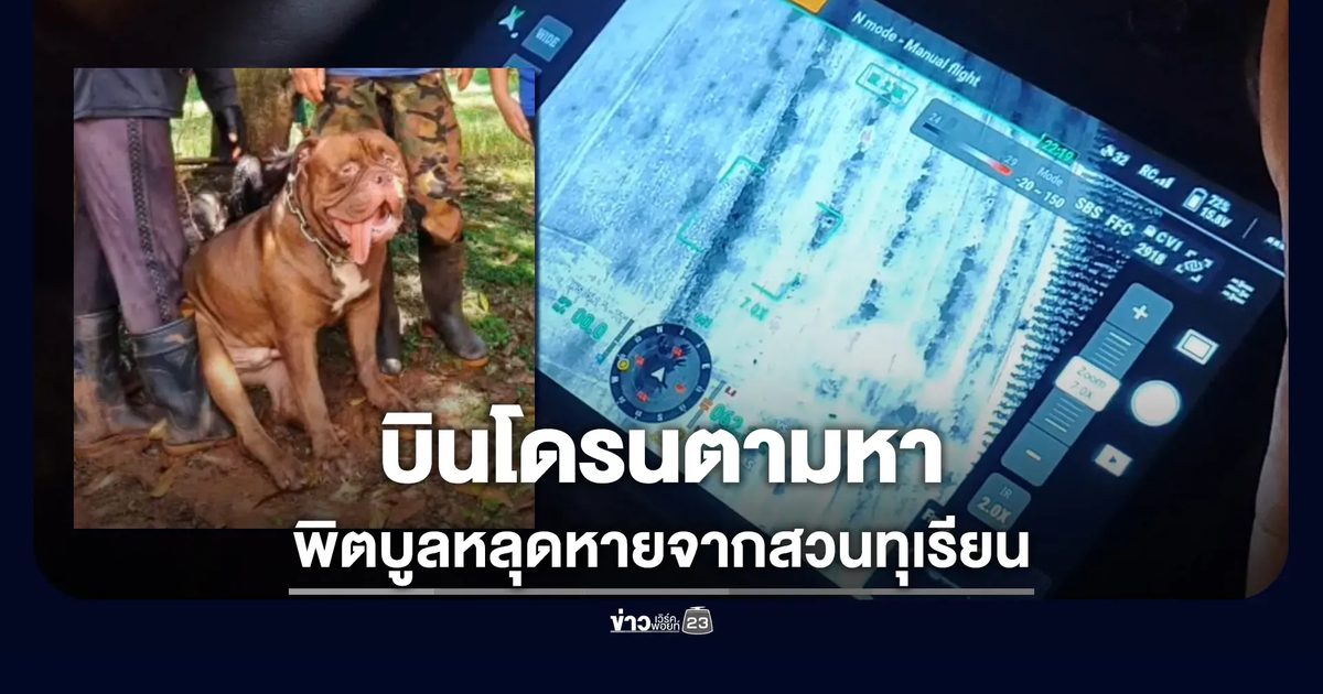 บินโดรนตามหา พิตบูลหลุดหายจากสวนทุเรียน อ.ครบุรี
