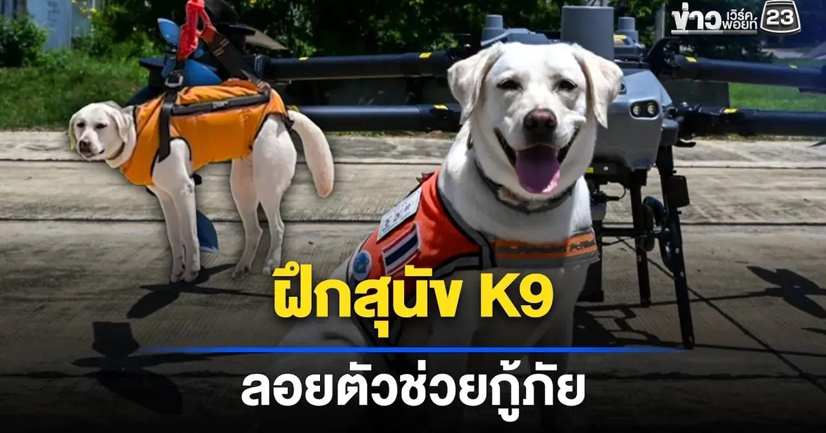 ฝึกสุนัข K9 ลอยตัวช่วยกู้ภัย ในพื้นที่เข้าถึงยาก
